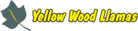logo_web.gif